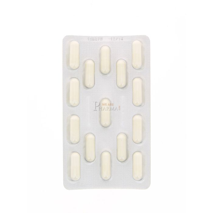 Pileje lactibiane tolerance 5g 30 sachets