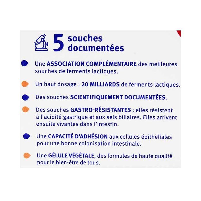 Vitavea ultrabiotique instant 10 gelules