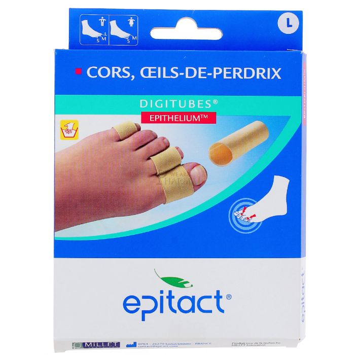 DIGITUBES EPITACT A L'EPITHELIUM TAILLE L
