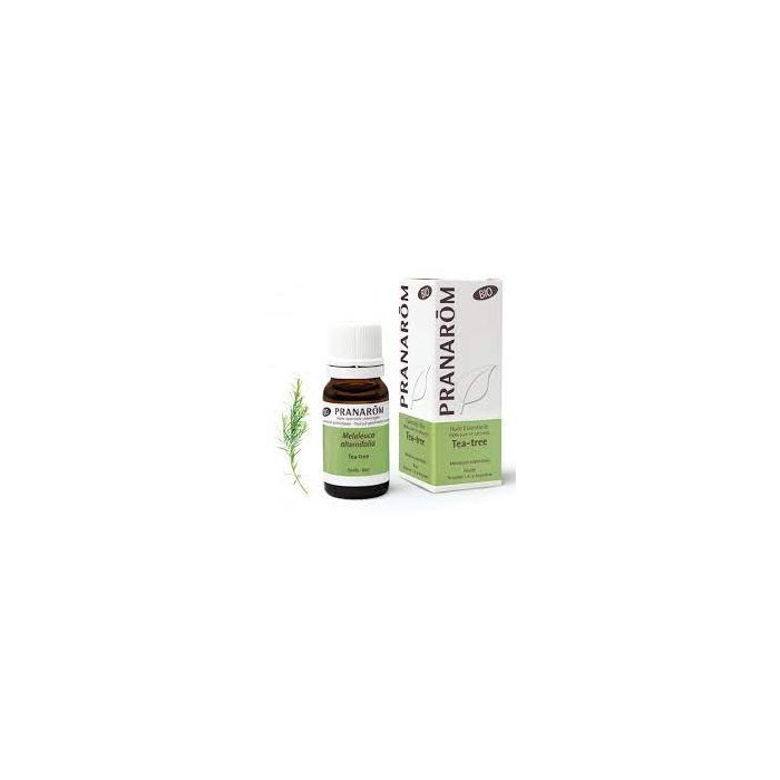PRANAROM Huile Essentielle TEA TREE BIO 10ml